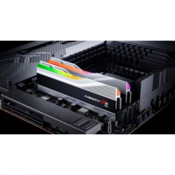  '  ' DDR5 32GB (2x16GB) 6600 Trident Z5 RGB Silver G.Skill (F5-6600J3440G16GX2-TZ5RS) -  8