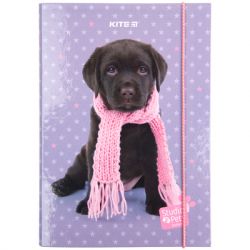 Папка для зошитів Kite В5 на гумці Studio Pets, картон (SP23-210) - Картинка 2