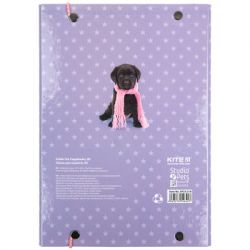 Папка для зошитів Kite В5 на гумці Studio Pets, картон (SP23-210) - Картинка 3