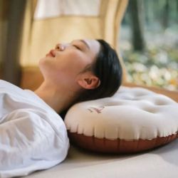 ���������� ������� Naturehike CNH22DZ011 Beige (6927595714737) - �������� 2