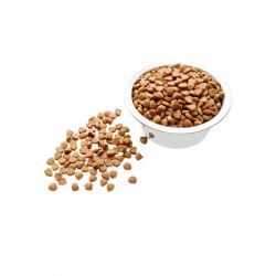 ����� ���� ��� ����� ��� ��� ����� 10 �� (4820111140305) - �������� 2