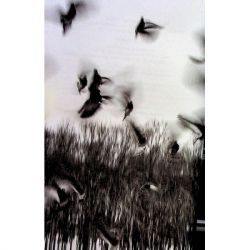 ����� ��������� ������� � ��������� ������� - �������� ������ ��� ��� (9786171298910) - �������� 6