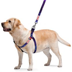 Шлея для собак WAUDOG Nylon з QR-паспортом "NASA21" S (4800-0148) - Картинка 2