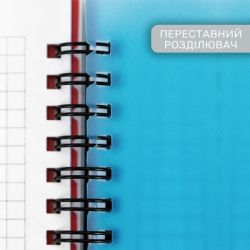 ������� Optima California B6 � ������������ 100 �������, ������� (O20358-17) - �������� 3