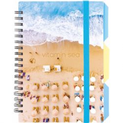  Optima Desing 26, B6   100 ,  (O20358-26)