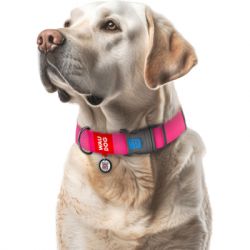 ������� ��� �������� WAUDOG Waterproof � QR ��������� ����������� ������� XXL ������� (25117) - �������� 4