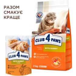     Club 4 Paws Premium      85  (4820215369008) -  6