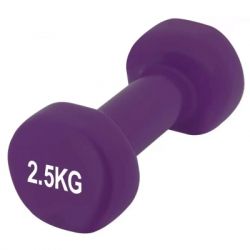 ������� PowerPlay 4125 Achilles 2.5 �� Գ������� (PP_4125_2.5kg)