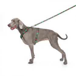 ���� ��� ����� WAUDOG Nylon � QR ��������� ��������� H-������ "������" L (5160-0228) - �������� 3