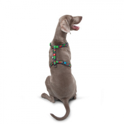 ���� ��� ����� WAUDOG Nylon � QR ��������� ��������� H-������ "������" L (5160-0228) - �������� 5