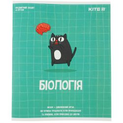  Kite  Cat 48 ,   (K23-240-17) -  1