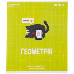Зошит Kite предметний Cat 48 аркушів, клітинка, геометрія (K23-240-19)
