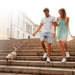 Повідок для собак WAUDOG R-leash світловідбиваюча стрічка XS-M до 40 кг 2.9 м білий (812715) - Картинка 10