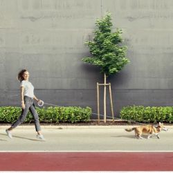 Повідок для собак WAUDOG R-leash світловідбиваюча стрічка XS-M до 40 кг 2.9 м білий (812715) - Картинка 6