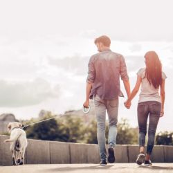 Повідок для собак WAUDOG R-leash світловідбиваюча стрічка XS-M до 40 кг 2.9 м білий (812715) - Картинка 9