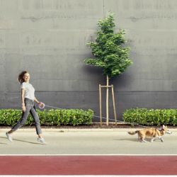 ������� ��� ����� WAUDOG R-leash ��������������� ����� XS-M �� 40 �� 2.9 � ������� (81277) - �������� 5