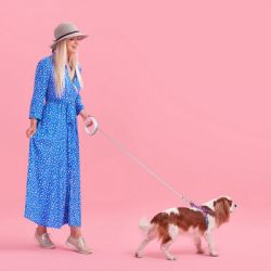 ������� ��� ����� WAUDOG R-leash ��������������� ����� XS-M �� 40 �� 2.9 � ������� (81277) - �������� 7