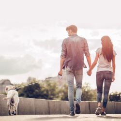 ������� ��� ����� WAUDOG R-leash ��������������� ����� XS-M �� 40 �� 2.9 � ������� (81277) - �������� 9