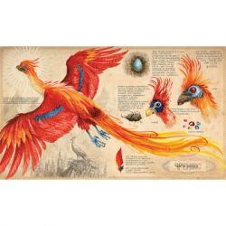 ����� ���� ������ � ����� ������. ������ ����������� ������� - ����� ����� �-��-��-��-��-��-�� (9786175851135) - �������� 4