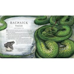       .    -   ------ (9786175851432) -  3