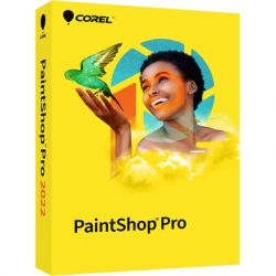    Corel PaintShop Pro 2023 EN/FR/NL/IT/ES Windows (ESDPSP2023ML)