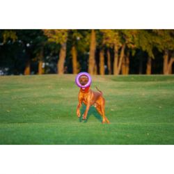 ������� ��� ����� Puller Maxi 30 �� (6492) - �������� 5