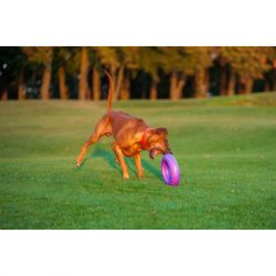 ������� ��� ����� Puller Maxi 30 �� (6492) - �������� 9