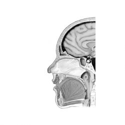 ����� �� - �� ��� ����� - ĳ� ����� ����� ��� (9786171501683) - �������� 3