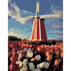 ������� �� ������� Rosa Start ������ �������� 35�45 �� (4823098512653)