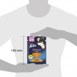 ������� ���� ��� ���� Purina Felix Fantastic Junior � ������ � ���� 85 � (7613039832189) - �������� 5