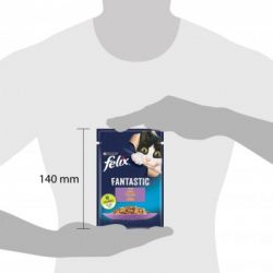 ������� ���� ��� ���� Purina Felix Fantastic � ����� � ���� 85 � (7613039838969) - �������� 4