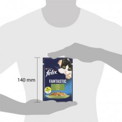 ������� ���� ��� ����� Purina Felix Fantastic � �������� � ���� 85 � (7613039835500) - �������� 5