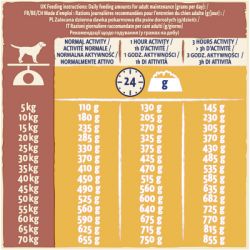 Сухий корм для собак Purina Dog Chow Active Adult зі смаком курки 14 кг (7613034487933) - Картинка 3