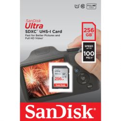   SanDisk 256GB SD class 10 UHS-I Ultra (SDSDUNR-256G-GN3IN) -  2
