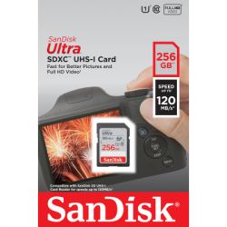   SanDisk 256GB SD class 10 UHS-I Ultra (SDSDUN4-256G-GN6IN) -  2