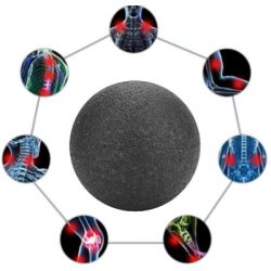 ��������� ��� Stein ��������� 6 �� (LMI-1036) - �������� 2