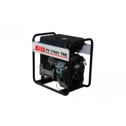 Генератор Fogo FV17001TRE 14,9kW, двиг.BS (FV 17001 TRE) - Картинка 2
