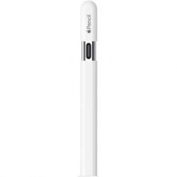  Apple Pencil (USB-C) (MUWA3ZM/A) -  2