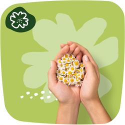 ó㳺����� ��������� Naturella Ultra Normal Plus (����� 2) 9 ��. (8006540098219) - �������� 7