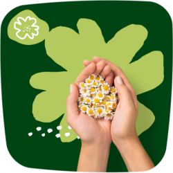 ������������� ��������� Naturella Ultra Night (������ 4) 14 ��. (8001090585394) - �������� 8