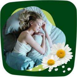 ������������� ��������� Naturella Ultra Night (������ 4) 14 ��. (8001090585394) - �������� 9