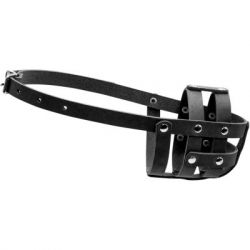 ��������� ��� ����� Collar �'���� �0 (��������) ������ (06331)