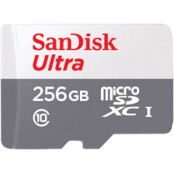  '  ' SanDisk 256GB microSDXC class 10 UHS-I Ultra (SDSQUNR-256G-GN3MN) -  1