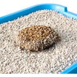 Наполнитель для туалета Тигра бентонитовый 2.5 кг (средняя гранула 1.5-2.8 мм) (5205) - Картинка 2