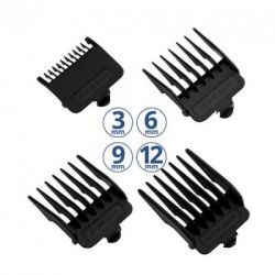 ������� ��� ������� Aurora AU295 - �������� 2