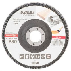 ���� ��������� Sigma ����������� �������� �29 (����������) ZA 125�� P80 (9173541) - �������� 2