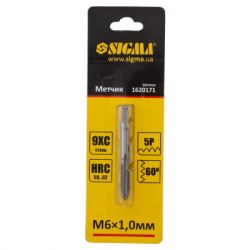  Sigma 6x1.0 (1620171) -  2