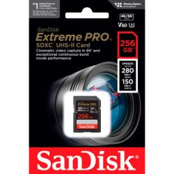   SanDisk 256GB SDXC class 10 UHS-I Extreme Pro (SDSDXEP-256G-GN4IN) -  3