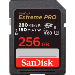   SanDisk 256GB SDXC class 10 UHS-I Extreme Pro (SDSDXEP-256G-GN4IN)