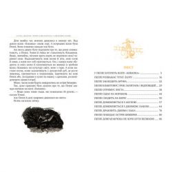 Книга Пеппі Довгапанчоха в південних морях. Книга 3 - Астрід Ліндґрен Видавництво РМ (9786178373382) - Картинка 5